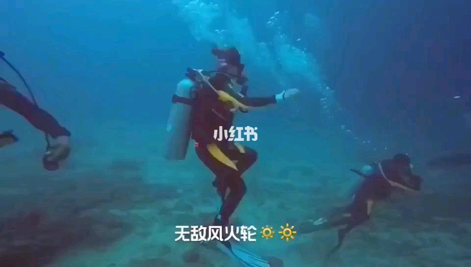 劫后余生：夺回